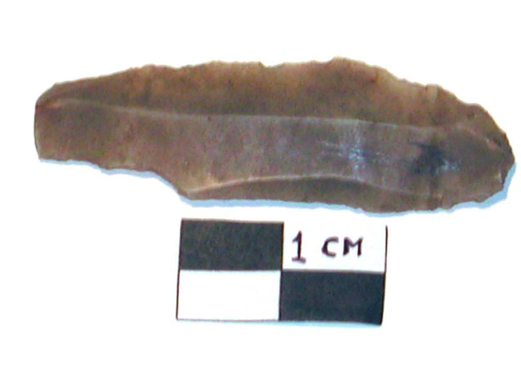 lama (Neolitico medio-tardo)