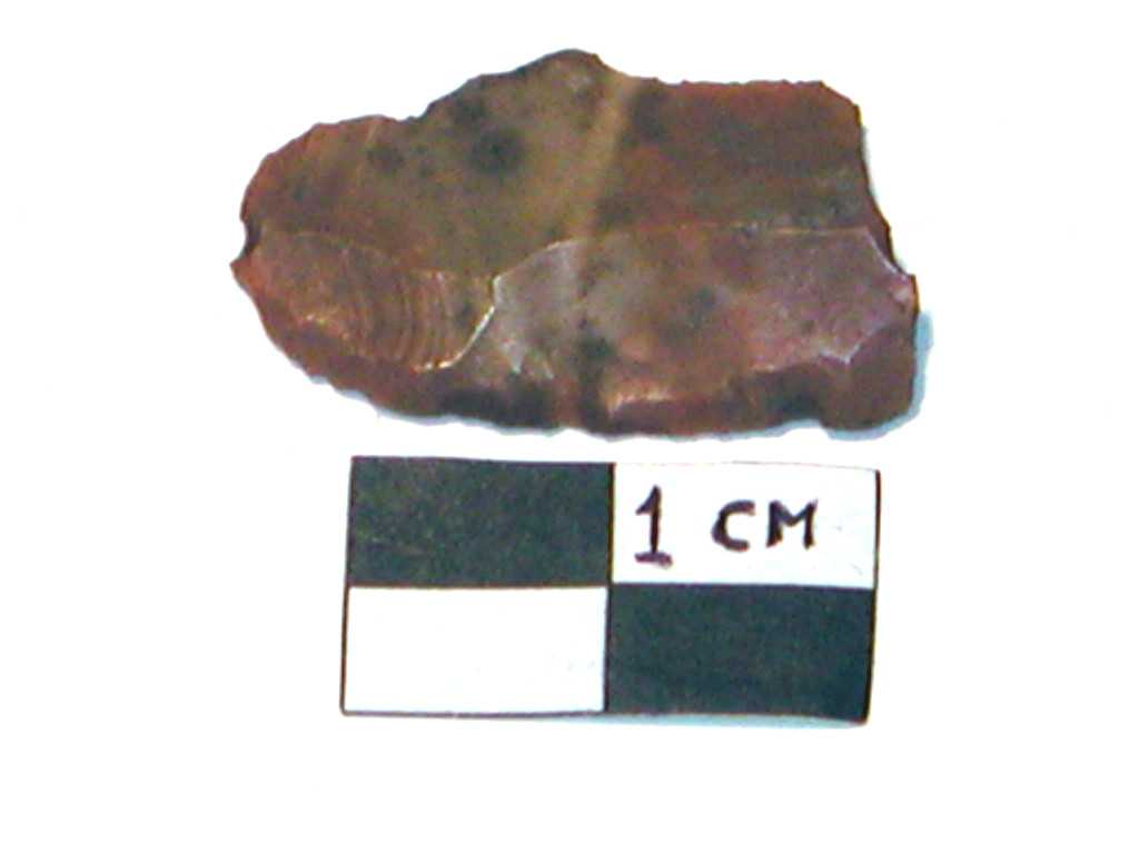 lama (Neolitico medio-tardo)