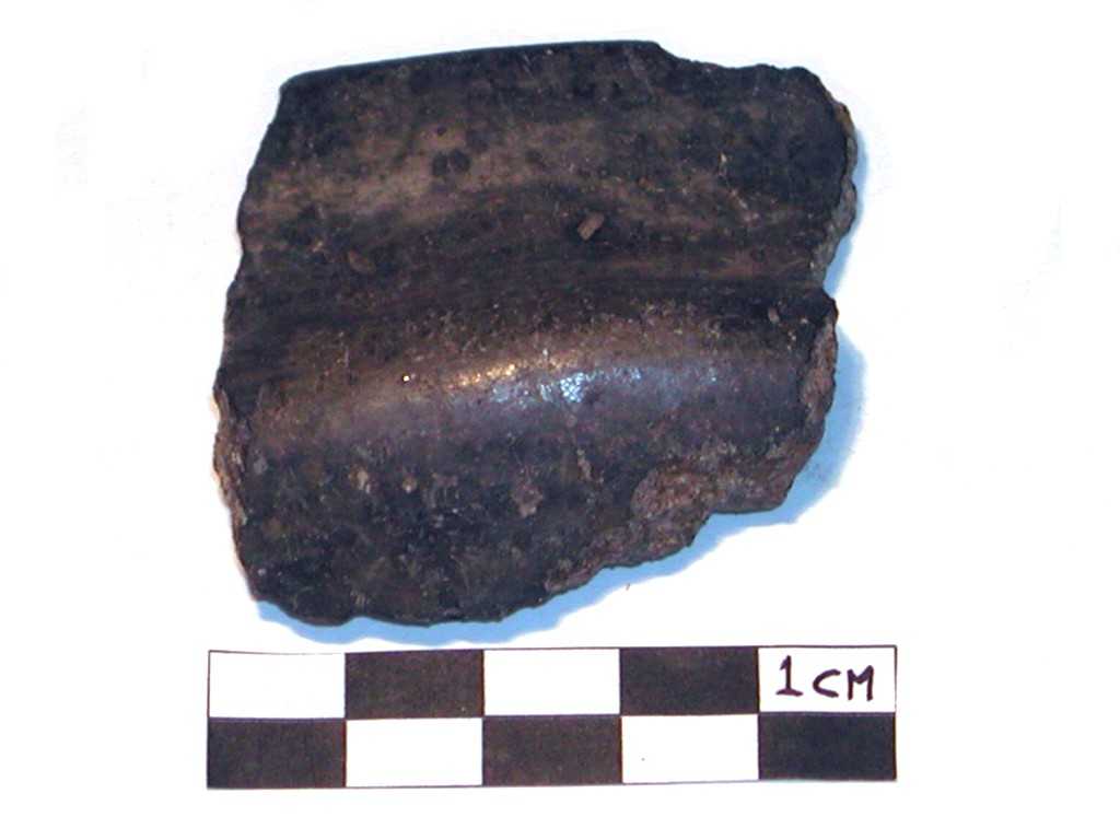 tazza/ carenata (Neolitico-Età del Bronzo medio-recente)