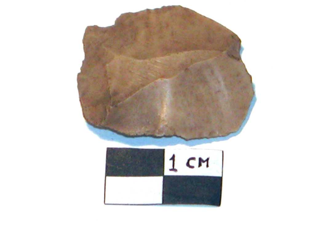 scheggia/ ritoccata (Neolitico medio-tardo)