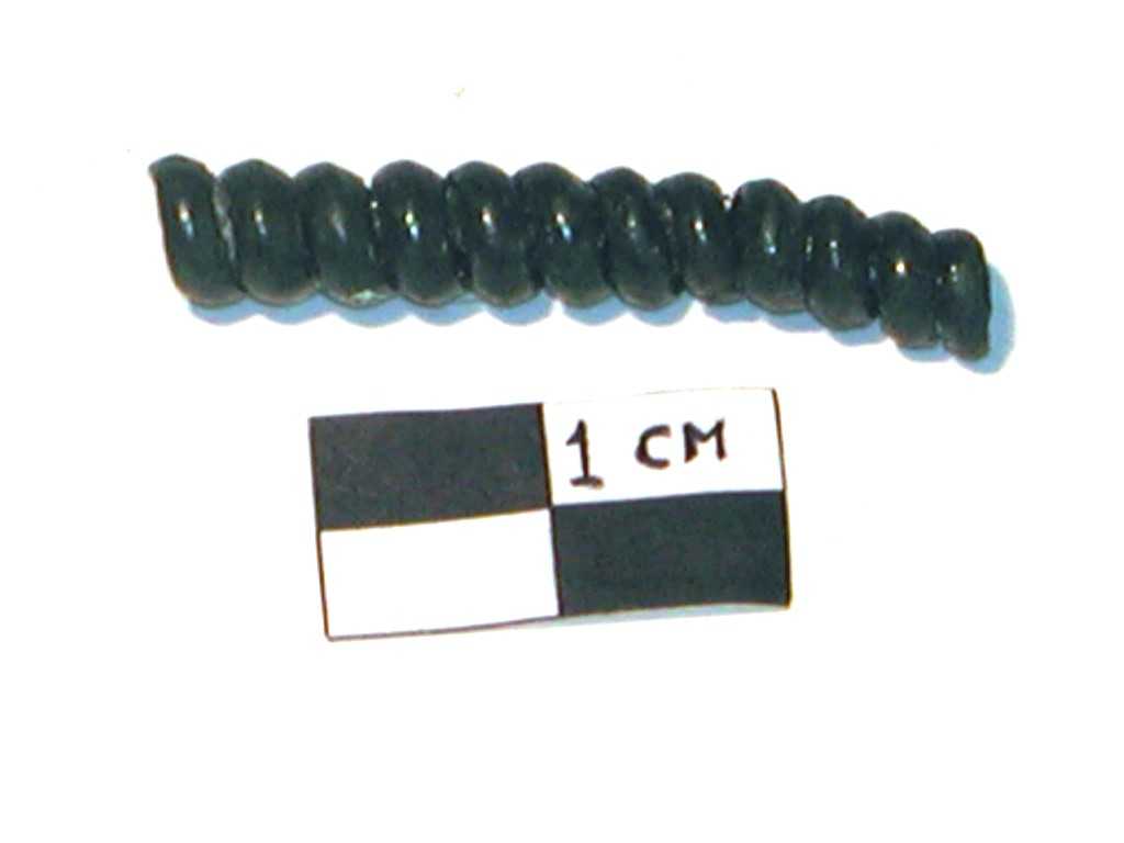 saltaleone (Età del Bronzo Finale-Età del Ferro)