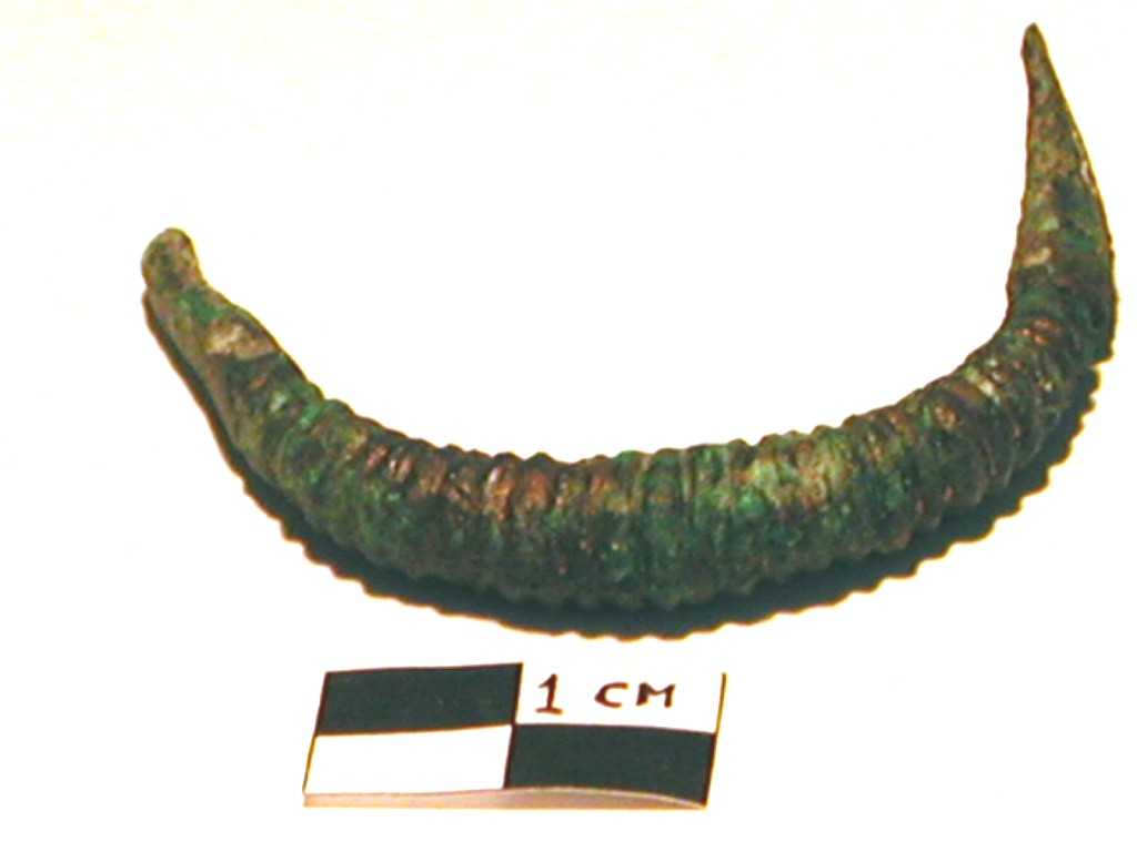 fibula/ ad arco a coste, Tipo Santa Lucia (VI-V a.C)