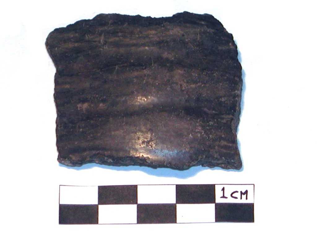 recipiente/ parete (Neolitico-Età del Bronzo medio-recente)