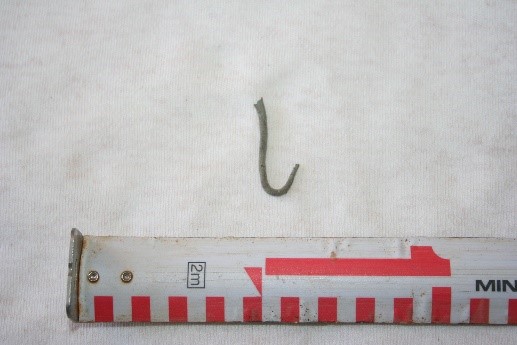 SINGOLO OGGETTO/ amo, PERIODIZZAZIONI/ STORIA/ Età antica/ Età romana/ Età romana repubblicana