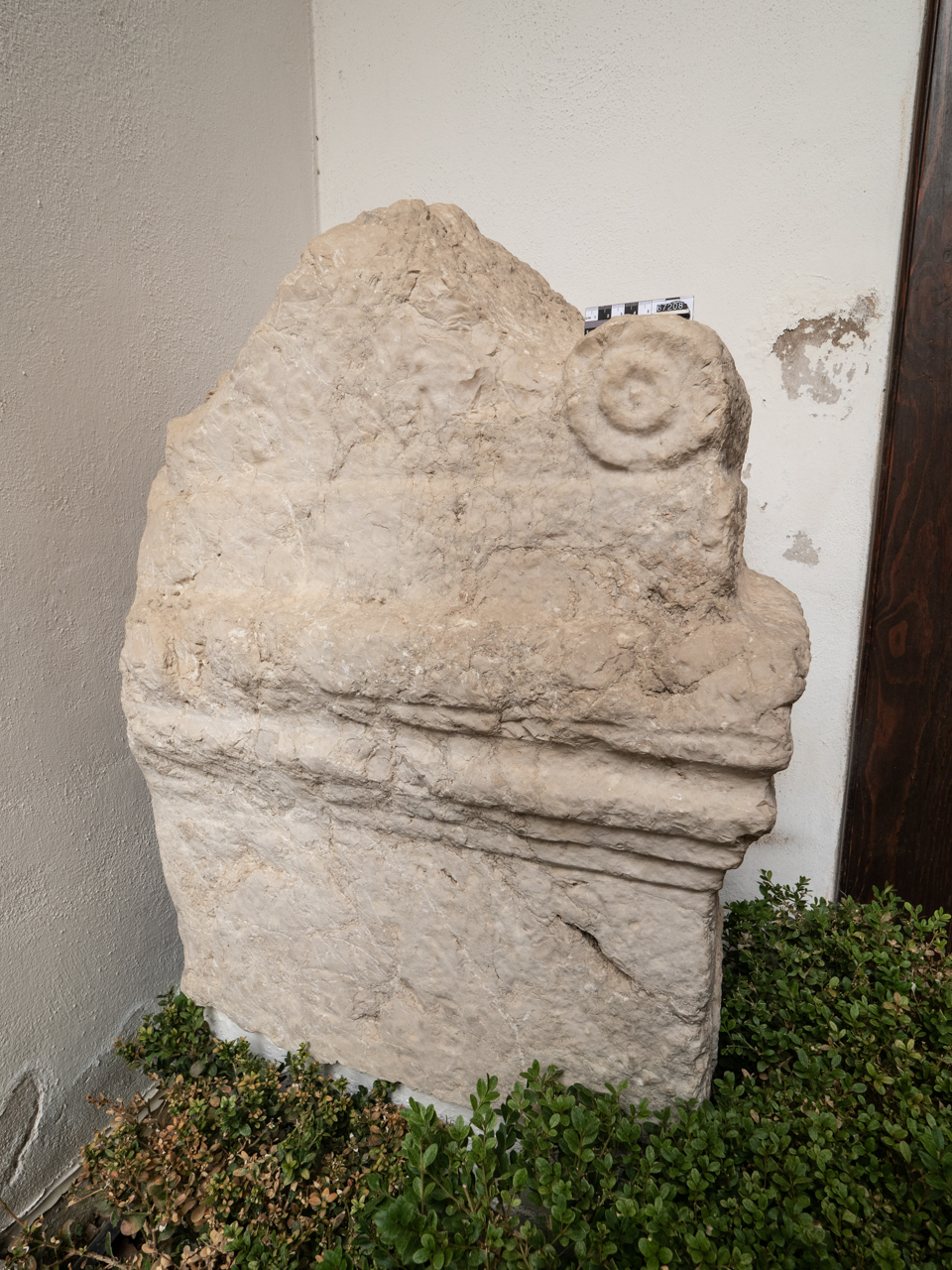 stele/ funeraria, frammento (II)