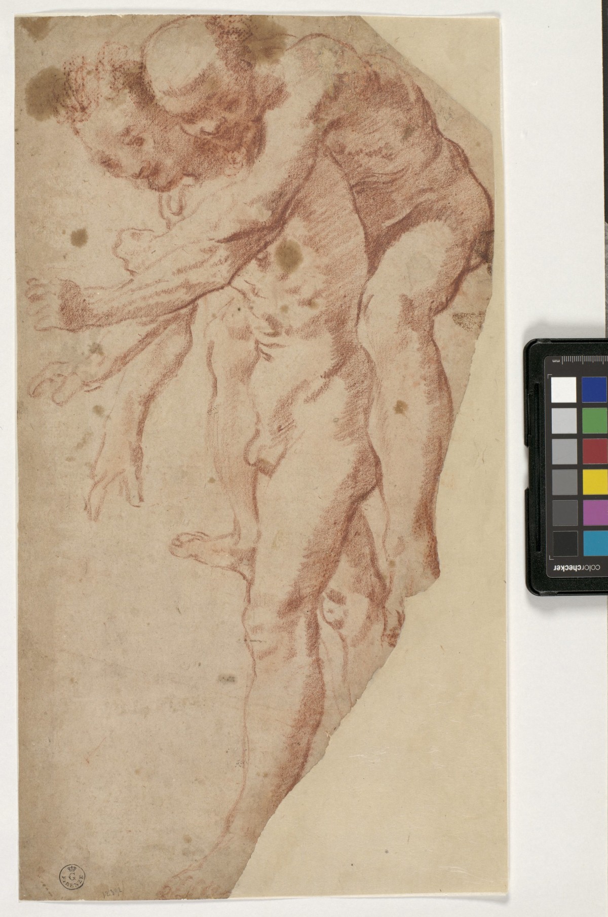 Studio per un giovane che porta sulle spalle un uomo (disegno) di Carracci Annibale (ultimo quarto XVI)