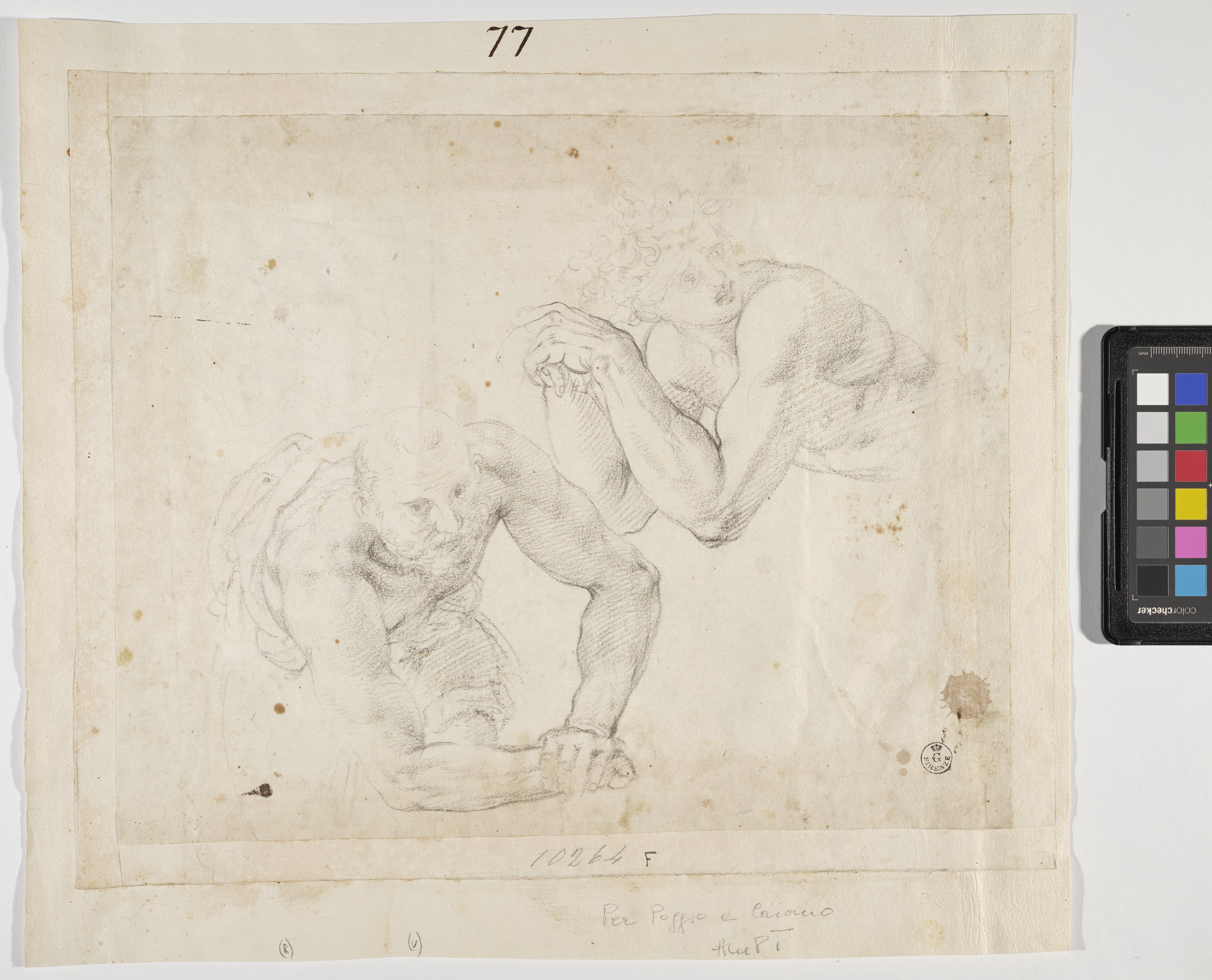 Studio della parte superiore di due figure virili nude (r.), Studio di figura virile nuda distesa e di una gamba genuflessa (v.) (disegno) di Allori Alessandro (seconda metà XVI)