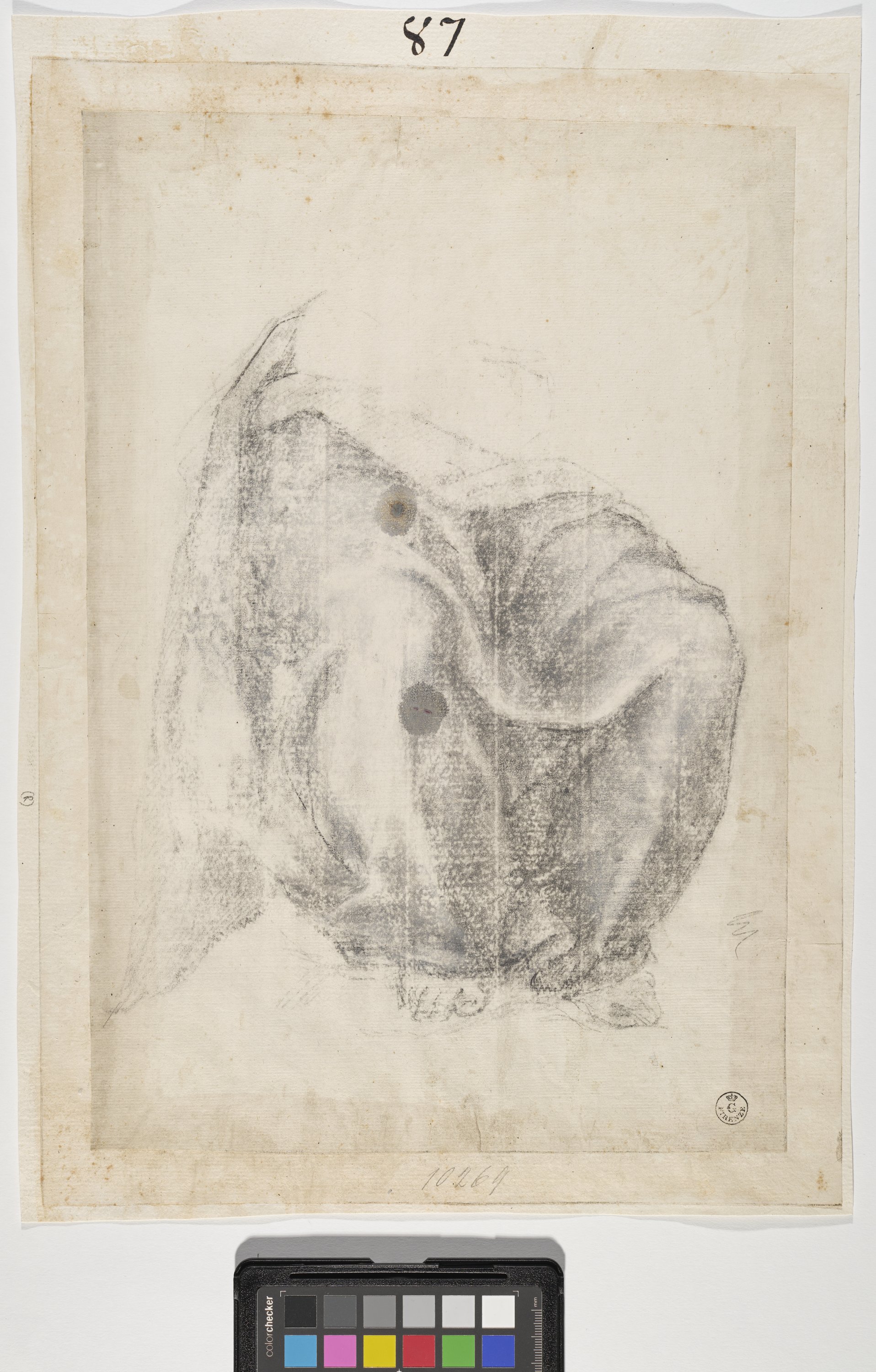 studio di panneggio per figura seduta (disegno) - ambito fiorentino (fine/ metà XVI/ XVII)