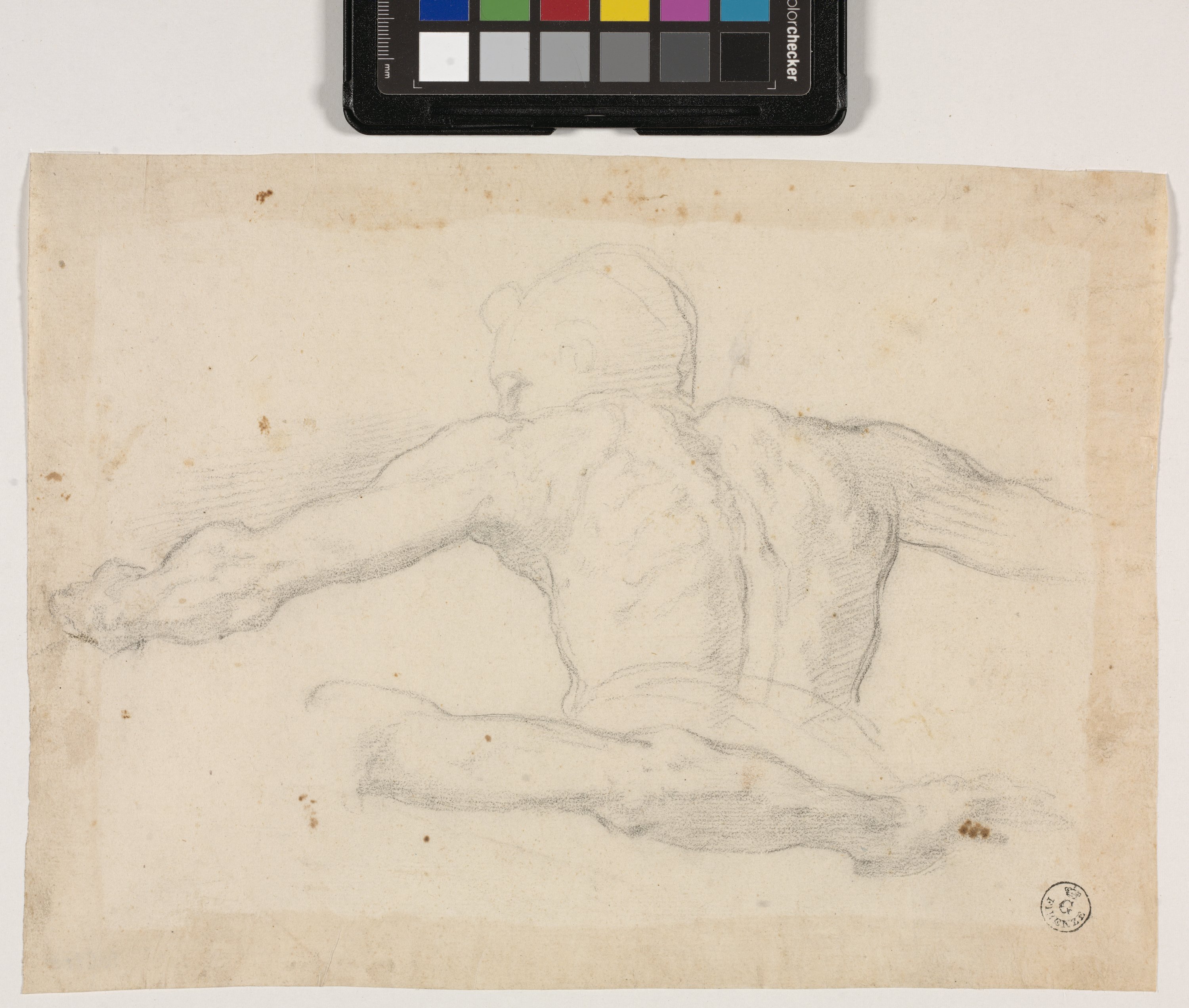 Studio di busto maschile nudo di spalle; braccio sinistro (disegno) di Allori Alessandro (terzo quarto XVI)