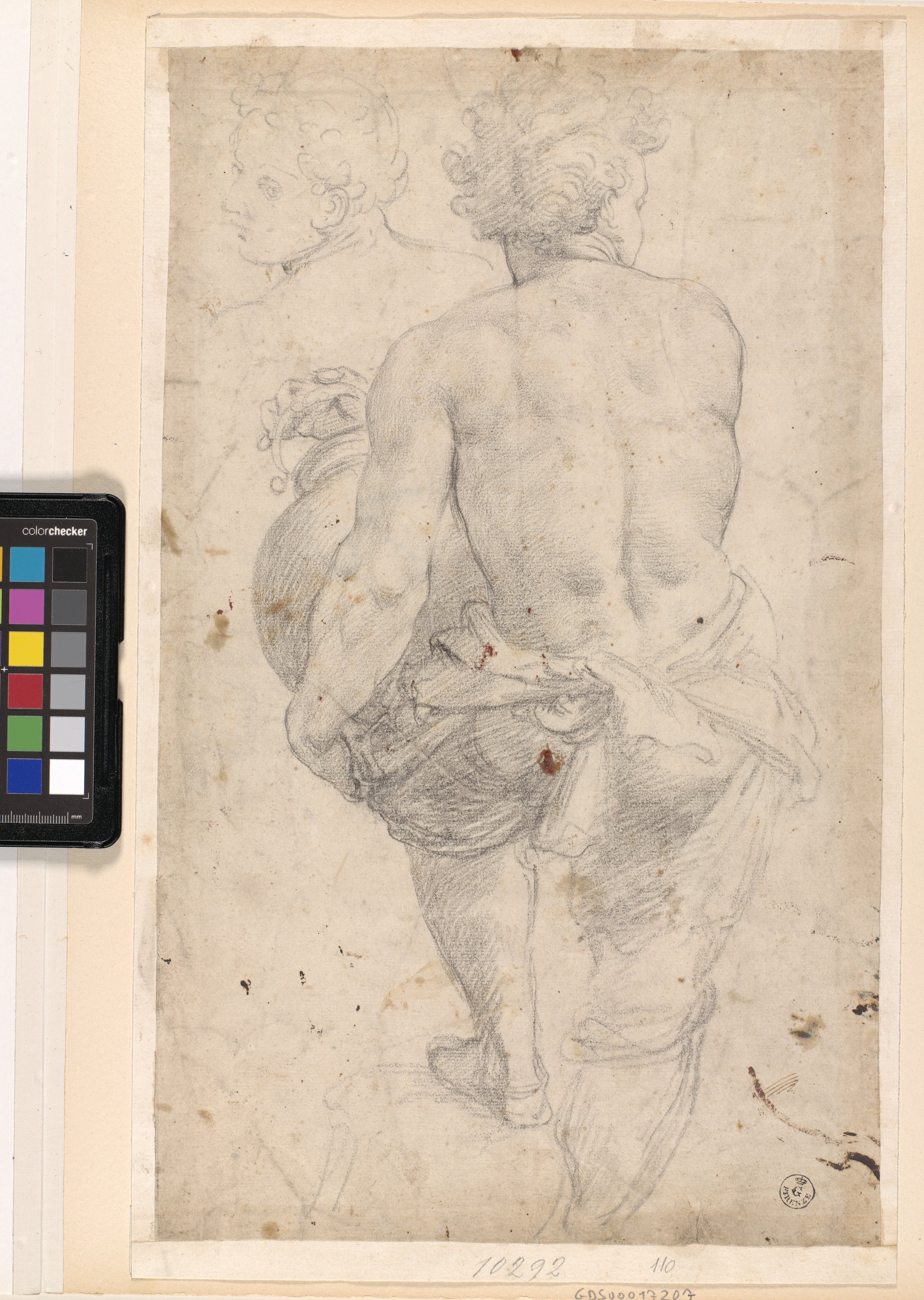 Studio di figura maschile con vaso vista di spalle; studio di busto maschile visto da dietro (disegno) di Allori Alessandro (ultimo quarto XVI)