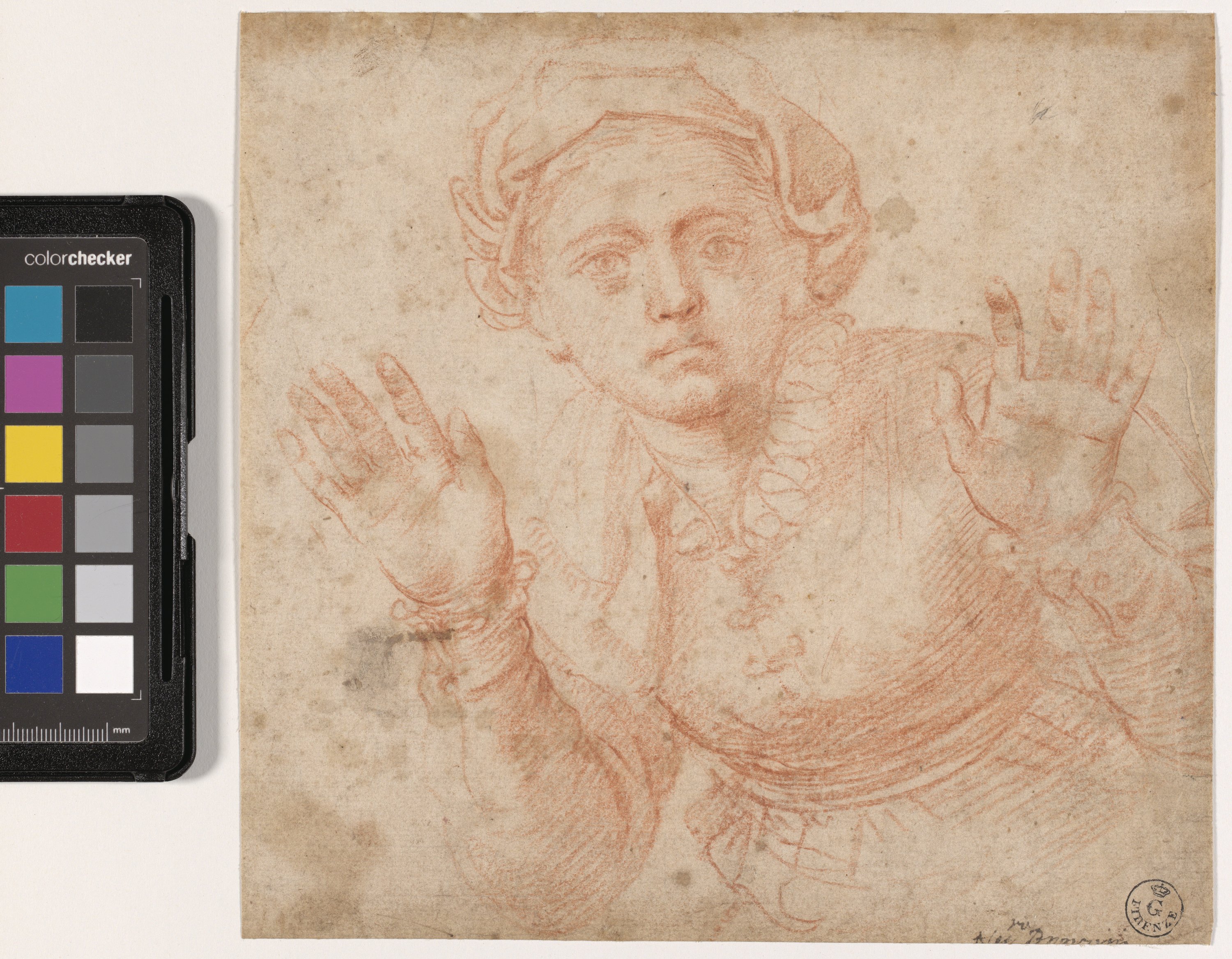 Studio di busto di giovane donna a braccia aperte (disegno) di Allori Alessandro (fine XVI)