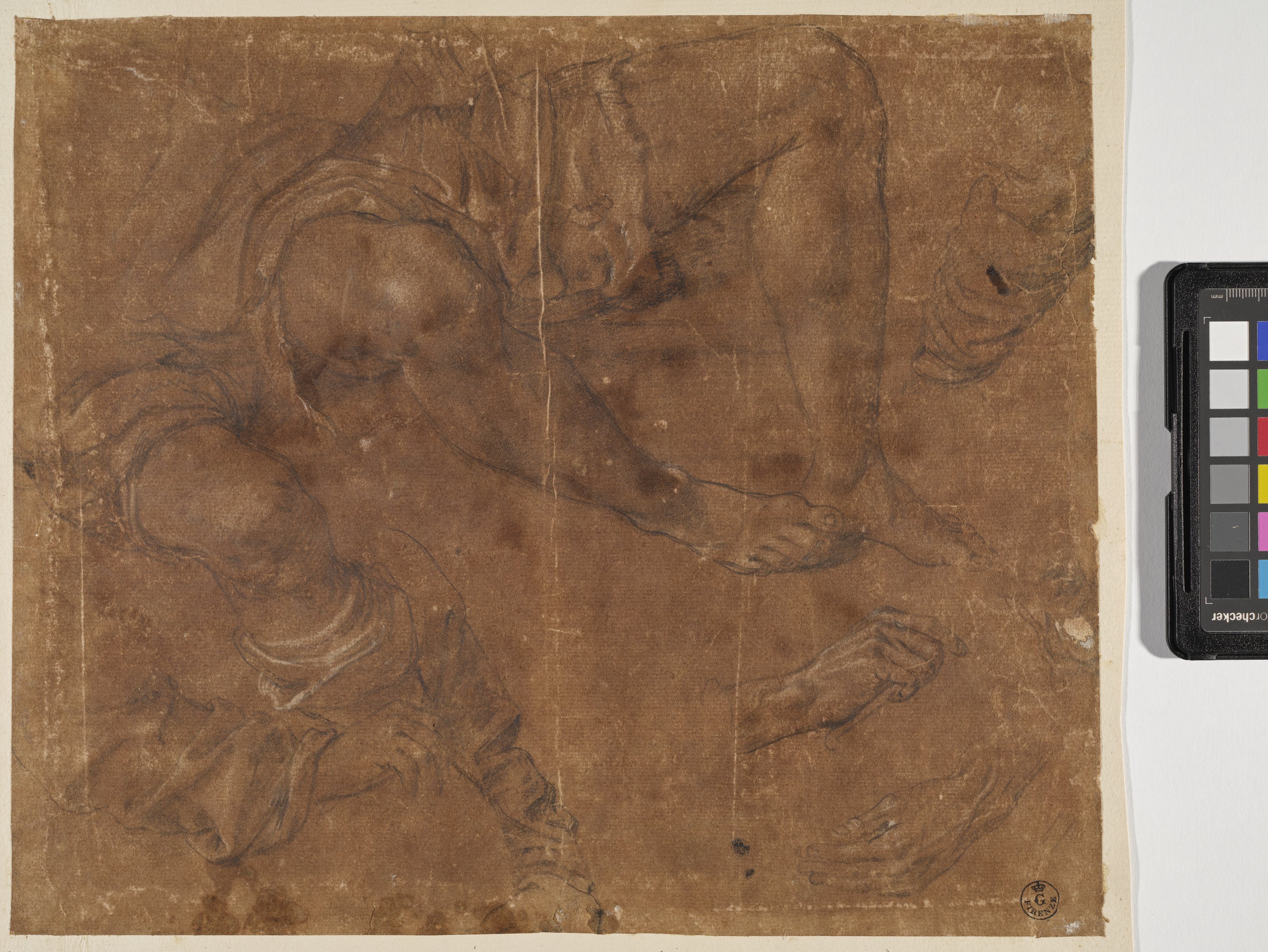 Tre studi di gambe maschili; due studi di braccia e di mani (disegno) di Allori Alessandro (ultimo quarto XVI)
