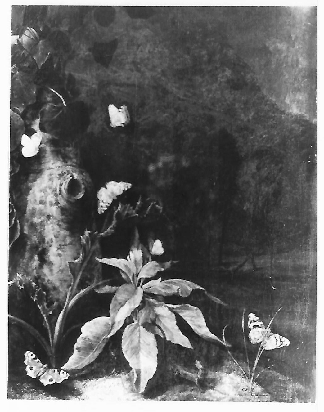 piante e insetti (dipinto) di Marseus van Schrieck Otho detto Ottone Marcellis (XVII)