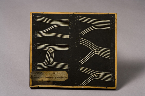 Dissociazione dei nervi periferici, Rete nervosa (modello anatomico, opera isolata) di Luigi Cantuù (laboratorio) - produzione torinese (metà XIX)