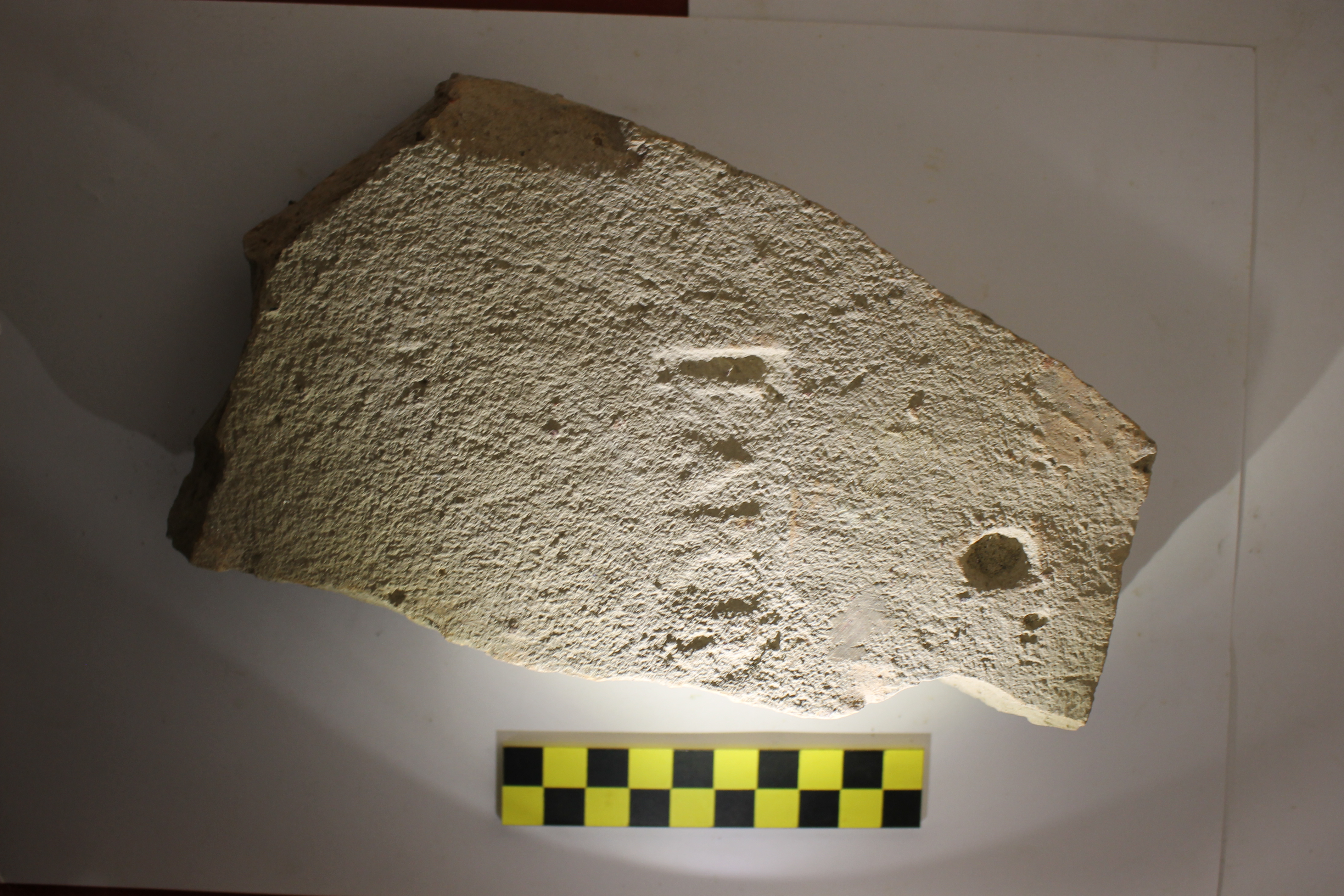 tegola/ rettangolare bollata - Etò romana imperiale (I-II)