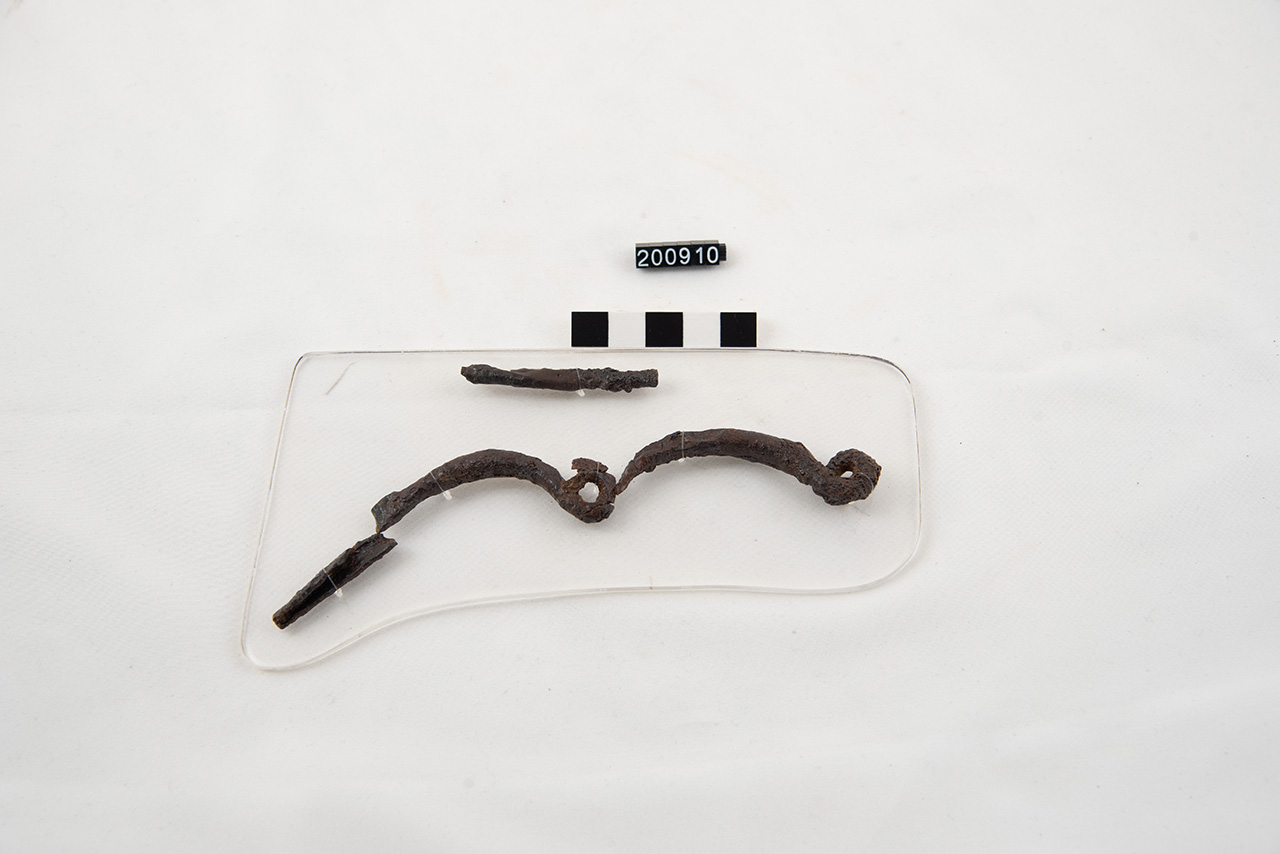 fibula/ con arco ad occhiello - Produzione locale (inizio/ metà SECOLI/ IX a.C./ VIII a.C)