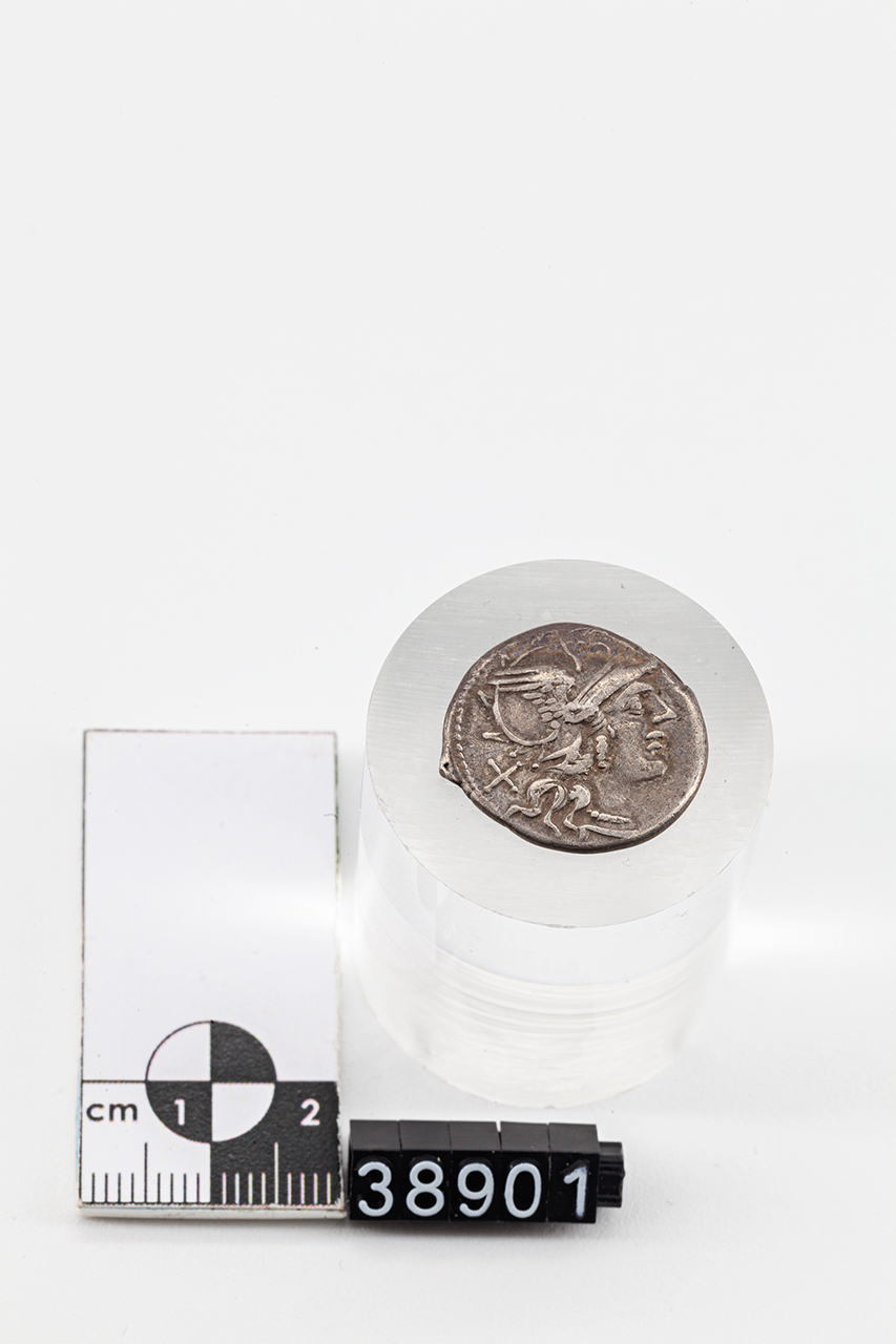moneta - Denario (terzo quarto SECOLI/ II a.C)