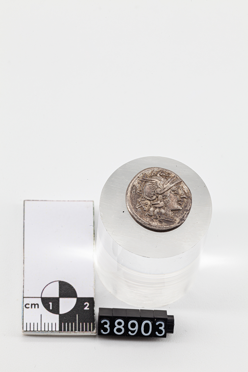moneta - Denario (secondo quarto SECOLI/ II a.C)