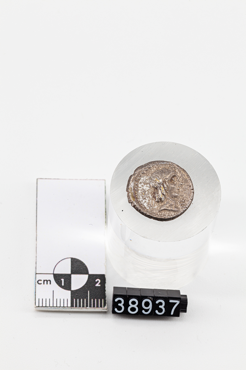 moneta - Quinario (inizio SECOLI/ I a.C)