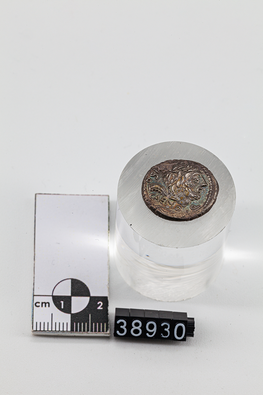 moneta - Denario (fine SECOLI/ II a.C)