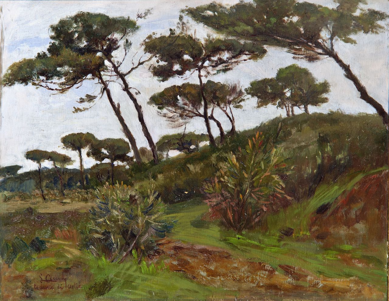 Dune di Ostia, paesaggio (dipinto) di Cecconi Lorenzo (sec. XX)