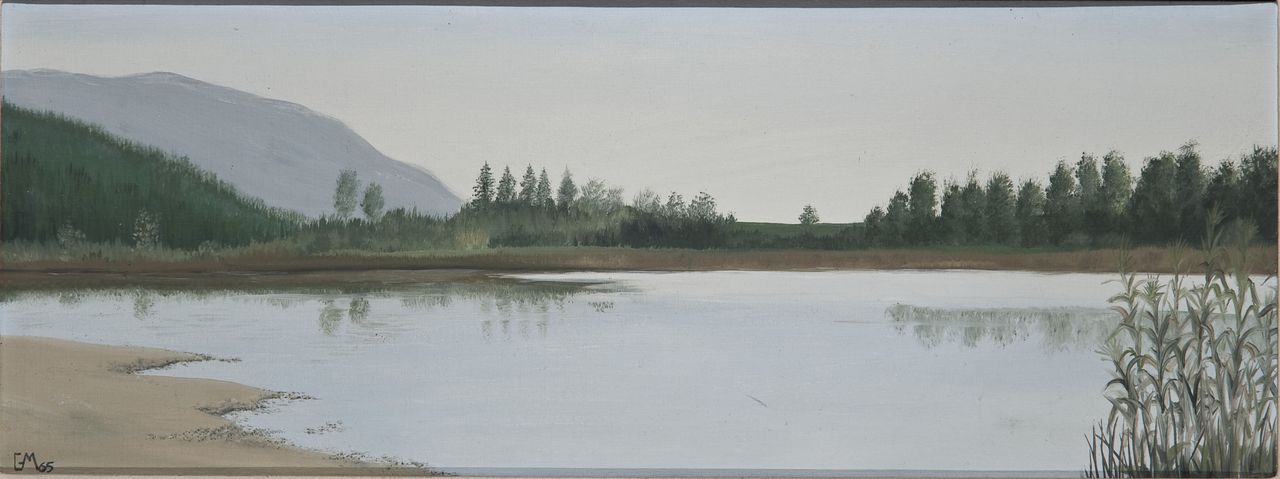 Lago di San Daniele, paesaggio palustre (dipinto) di Marangone Giorgio (sec. XX)