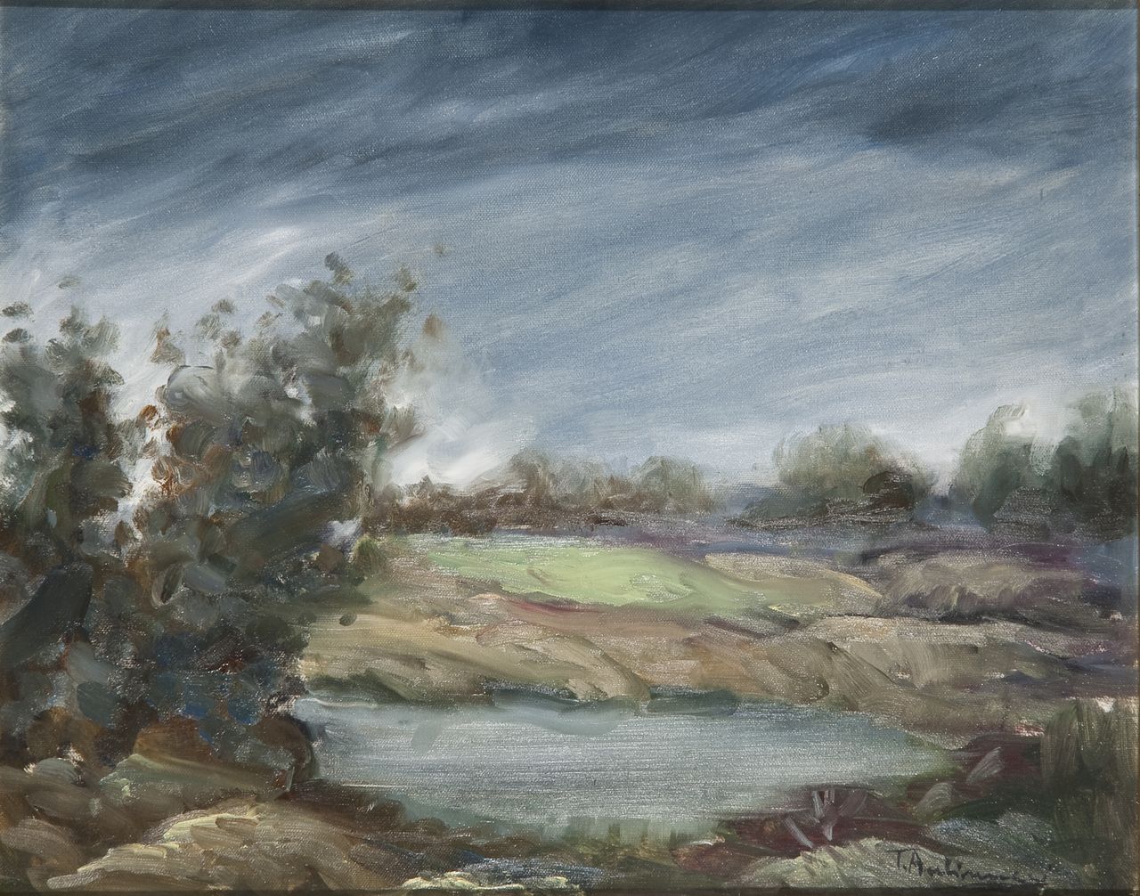 Campagna pugliese, paesaggio (dipinto) di Antinucci Teresa (sec. XX)