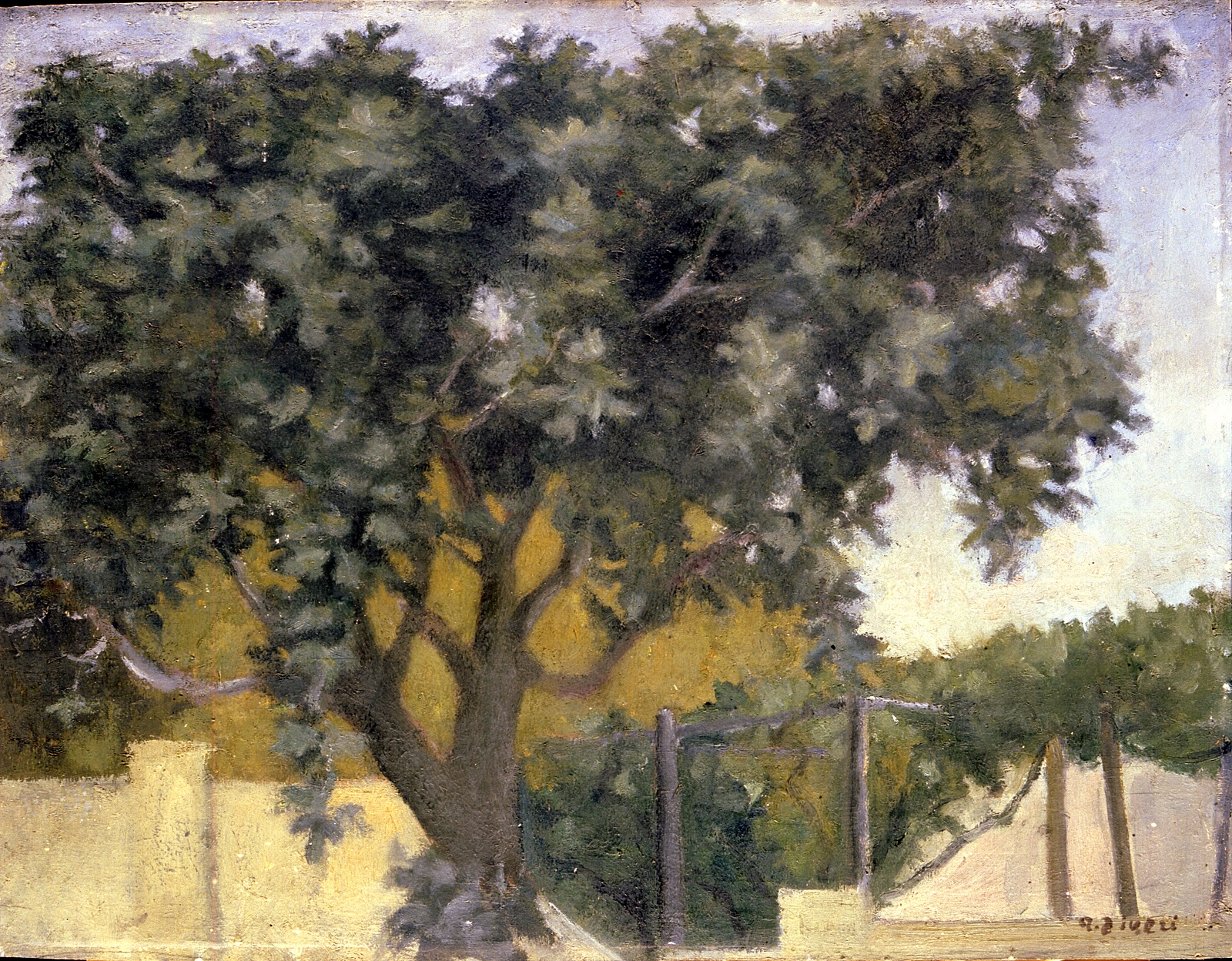 Paesaggio con alberi (dipinto, opera isolata) di Ziveri Alberto (sec. XX)
