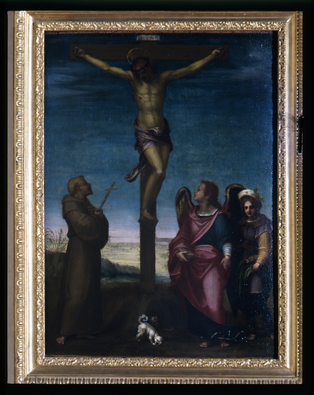 Cristo Crocifisso con San Francesco d'Assisi, San Raffaele arcangelo e Tobia (dipinto) di Andrea del Sarto (sec. XVI)