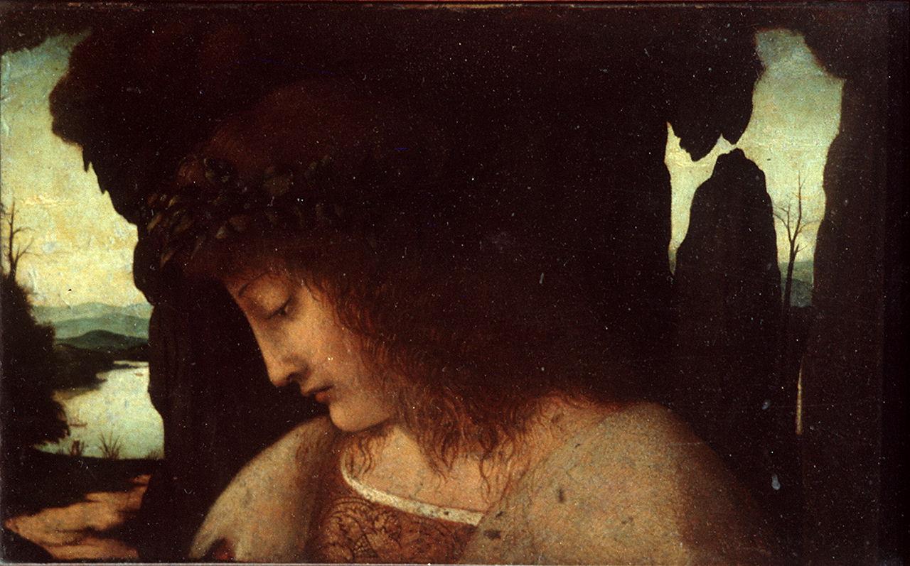 Narciso alla fonte (dipinto) di Boltraffio Giovanni Antonio (sec. XVI)