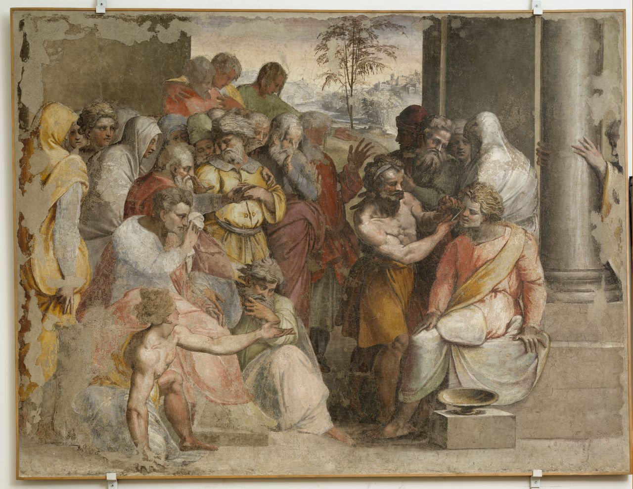 giudizio di Zaleuco (dipinto, frammento) di Bonaccorsi Pietro detto Perin del Vaga (sec. XVI)