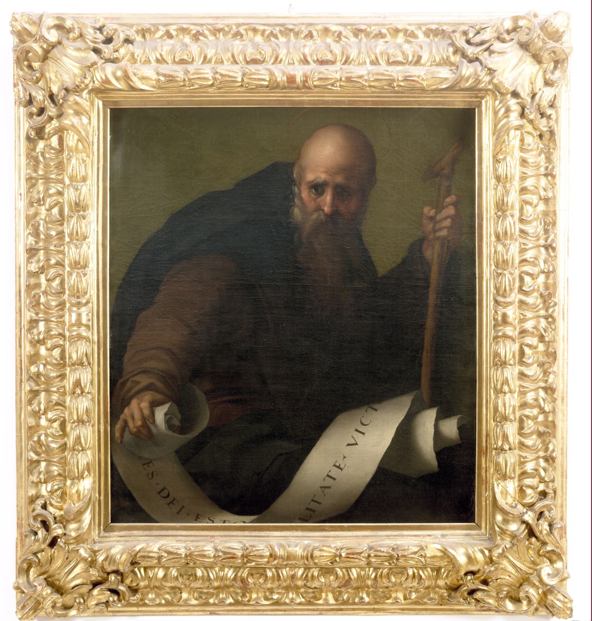 Sant'Antonio Abate (dipinto) di Carucci Jacopo detto Pontormo (sec. XVI)