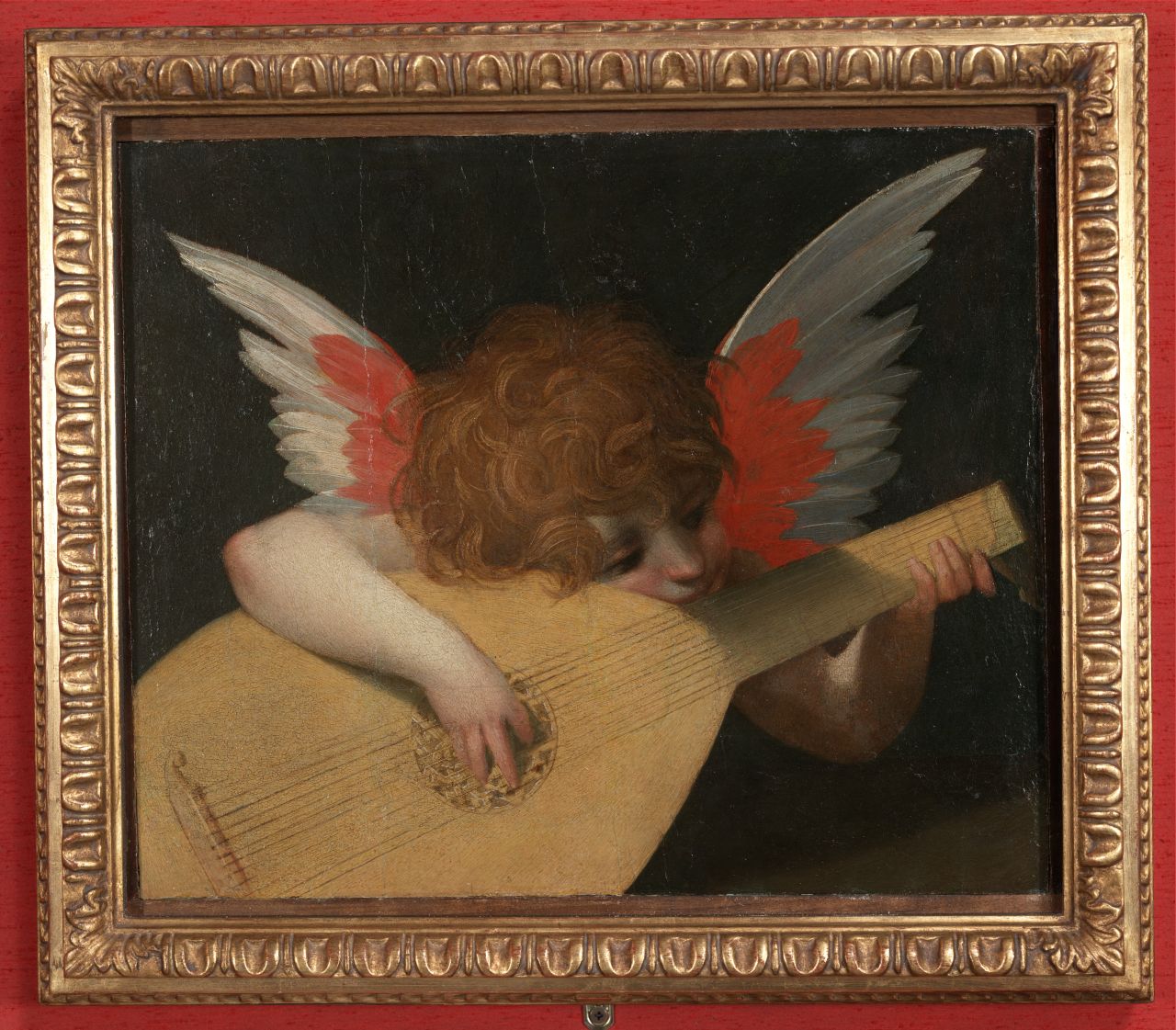 angelo musicante (dipinto) di Rosso Fiorentino (sec. XVI)