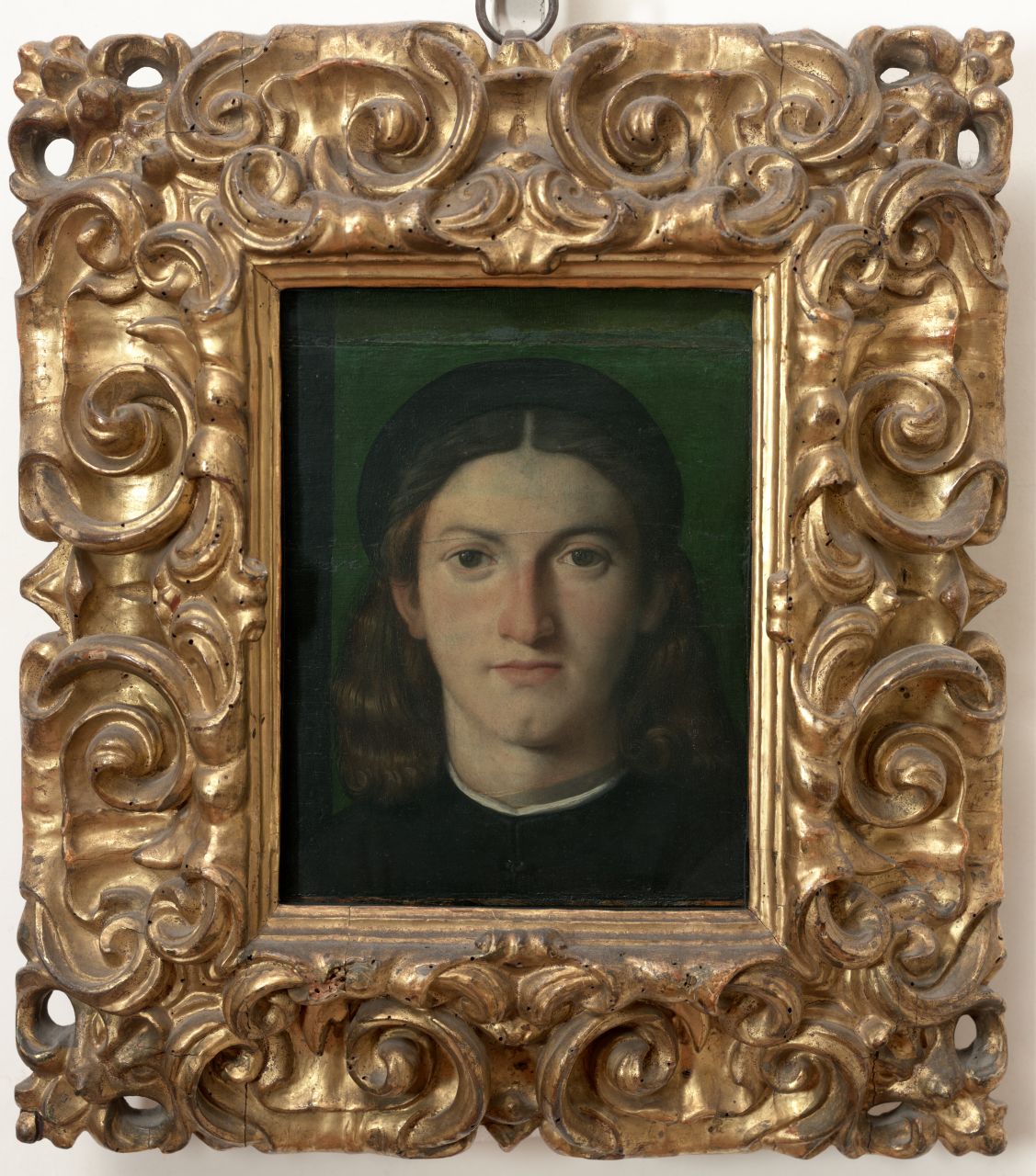 ritratto di giovane (dipinto) di Lotto Lorenzo (sec. XVI)