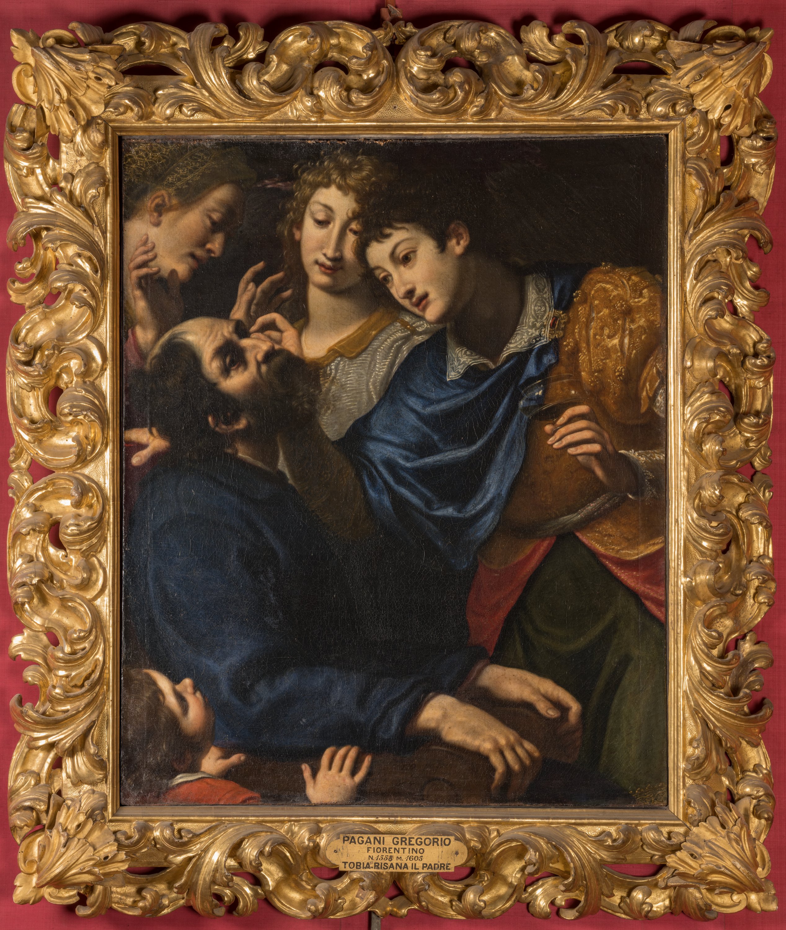 Tobia ridona la vista al padre (dipinto) di Pagani Gregorio (primo quarto sec. XVII)