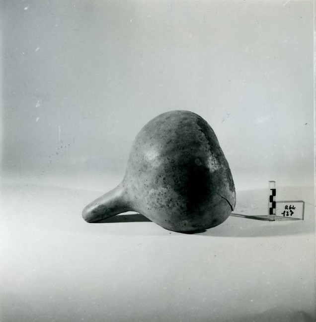 recipiente, di zucca, ARREDI E SUPPELLETTILI/ CONTENITORI, RECIPIENTI E OGGETTI DI USO DOMESTICO