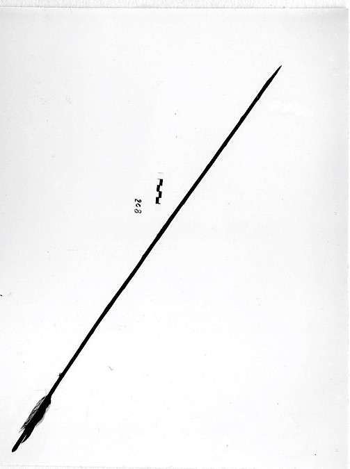 cere (freccia, da pesca, STRUMENTI E ACCESSORI/ CACCIA E PESCA)