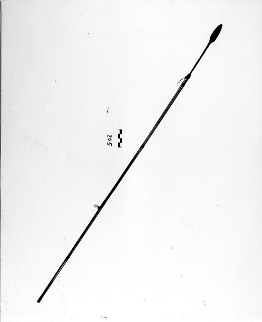 balmo (freccia, da pesca, STRUMENTI E ACCESSORI/ CACCIA E PESCA)