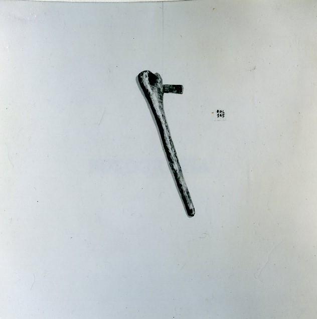 latong (scure, STRUMENTI E ACCESSORI/ AGRO-SILVO-PASTORALI)