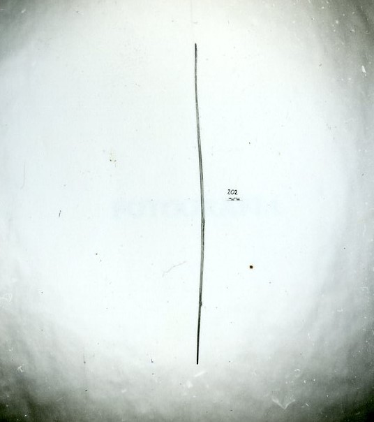 atum (arco, da pesca, STRUMENTI E ACCESSORI/ CACCIA E PESCA)