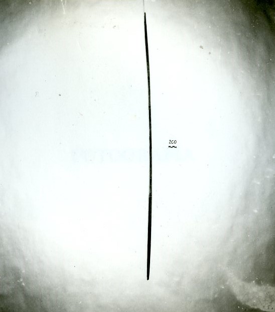 atum (arco, da pesca, STRUMENTI E ACCESSORI/ CACCIA E PESCA)