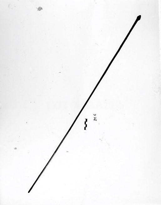 pau (freccia, da pesca, STRUMENTI E ACCESSORI/ CACCIA E PESCA)