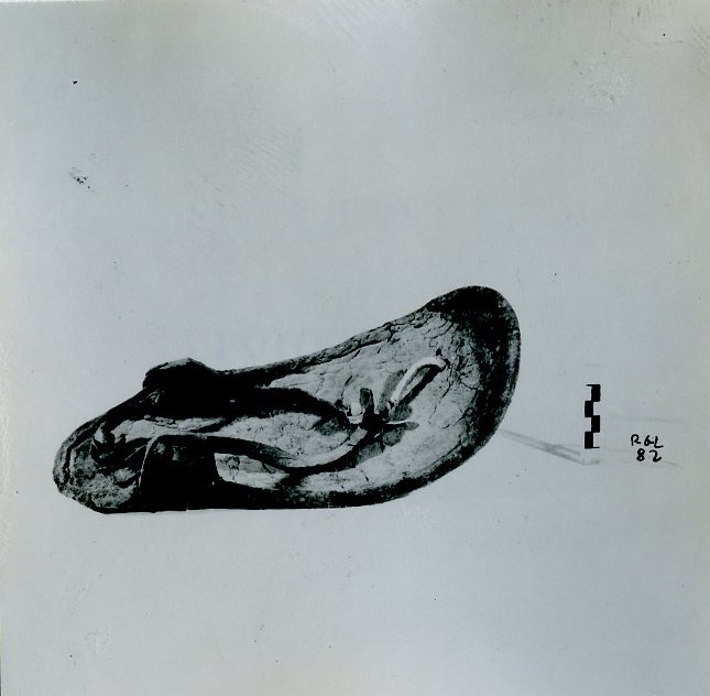 sandalo, ABBIGLIAMENTO E ORNAMENTI DEL CORPO/ CALZATURE