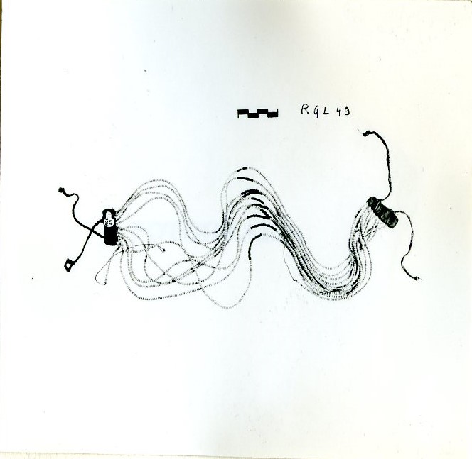 cintura, ABBIGLIAMENTO E ORNAMENTI DEL CORPO/ ACCESSORI