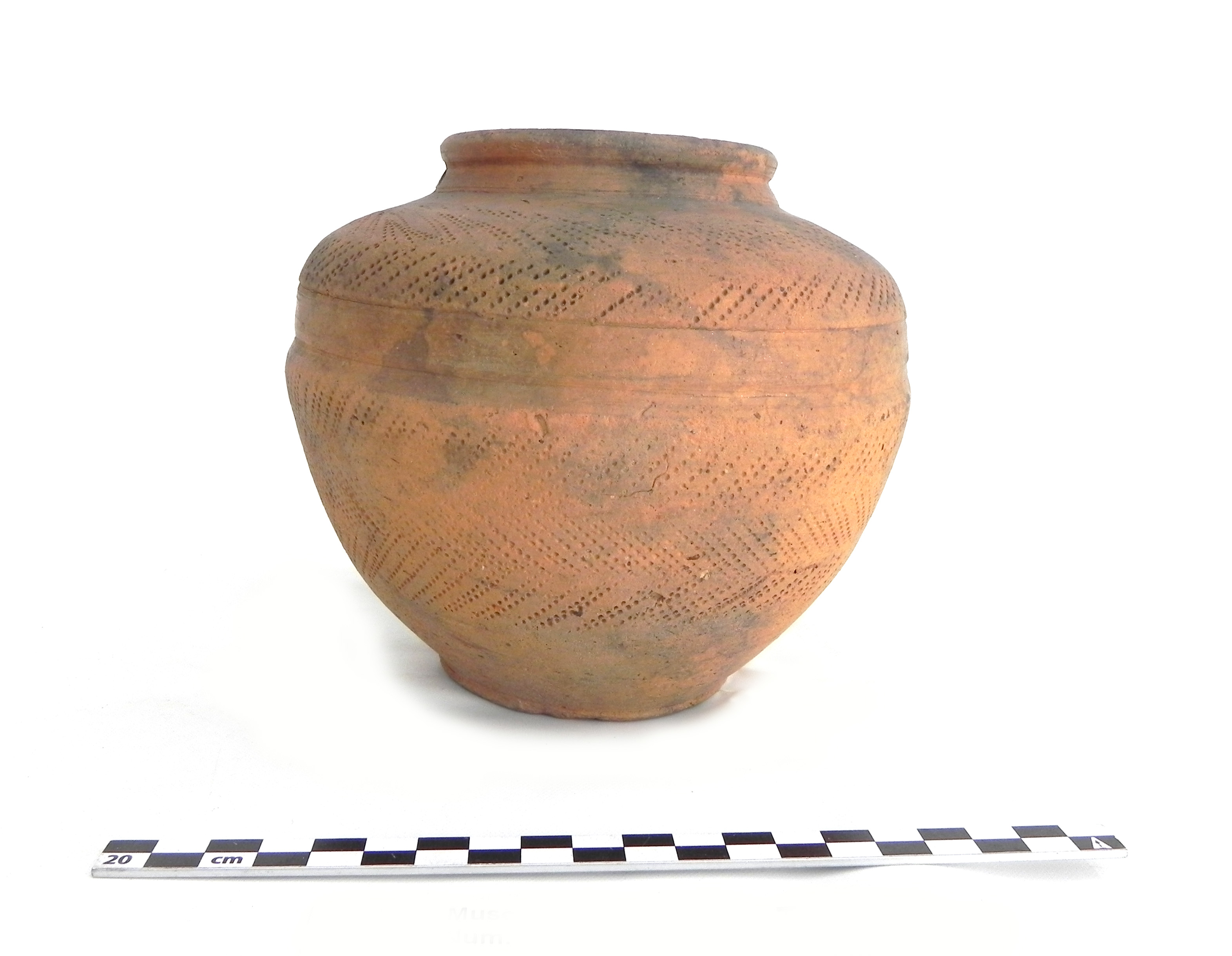 olla, ceramica comune (SECOLI/ I)