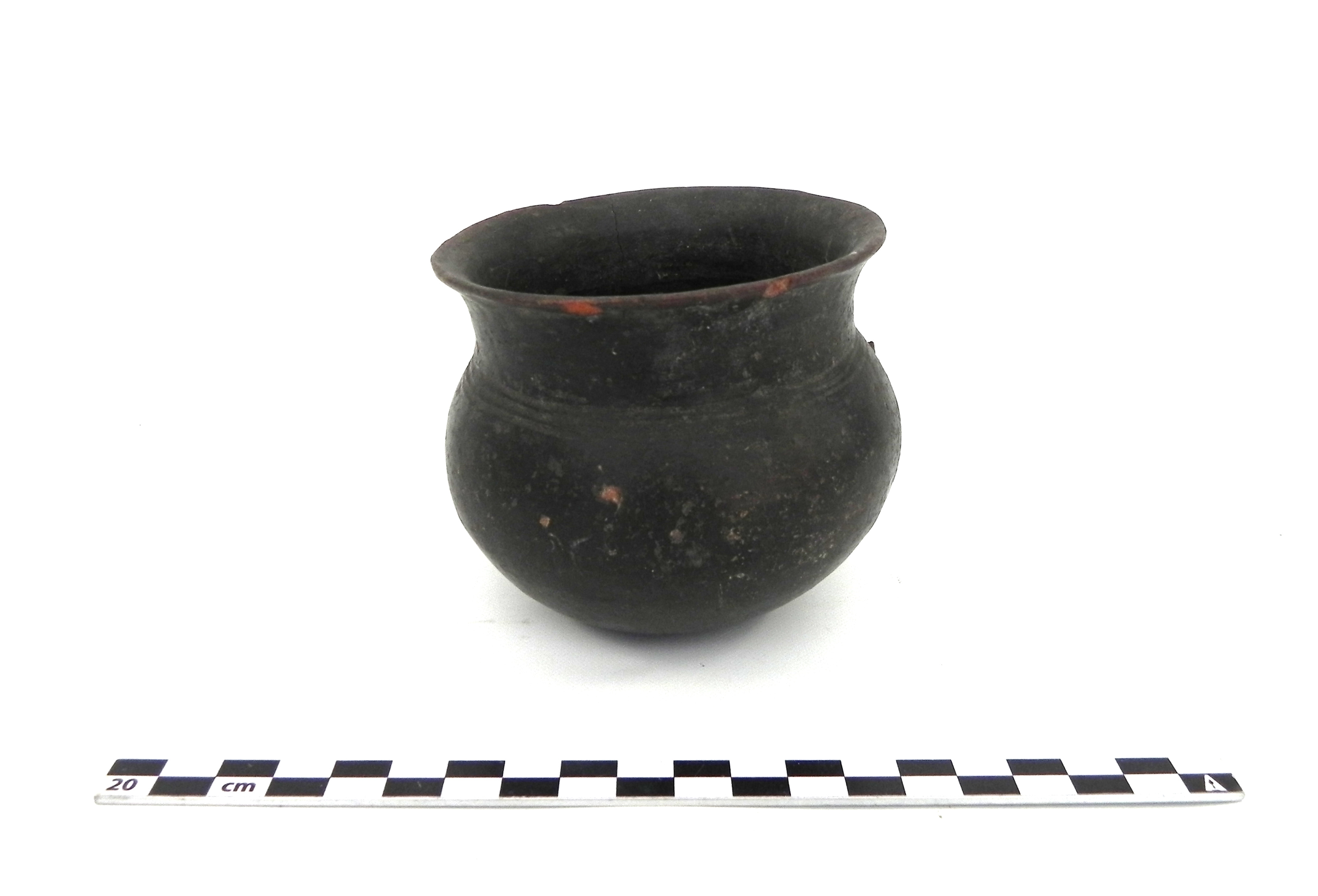 bicchiere - Cultura di Golasecca (PERIODIZZAZIONI/ PROTOSTORIA/ Età del Ferro/ Prima età del Ferro)