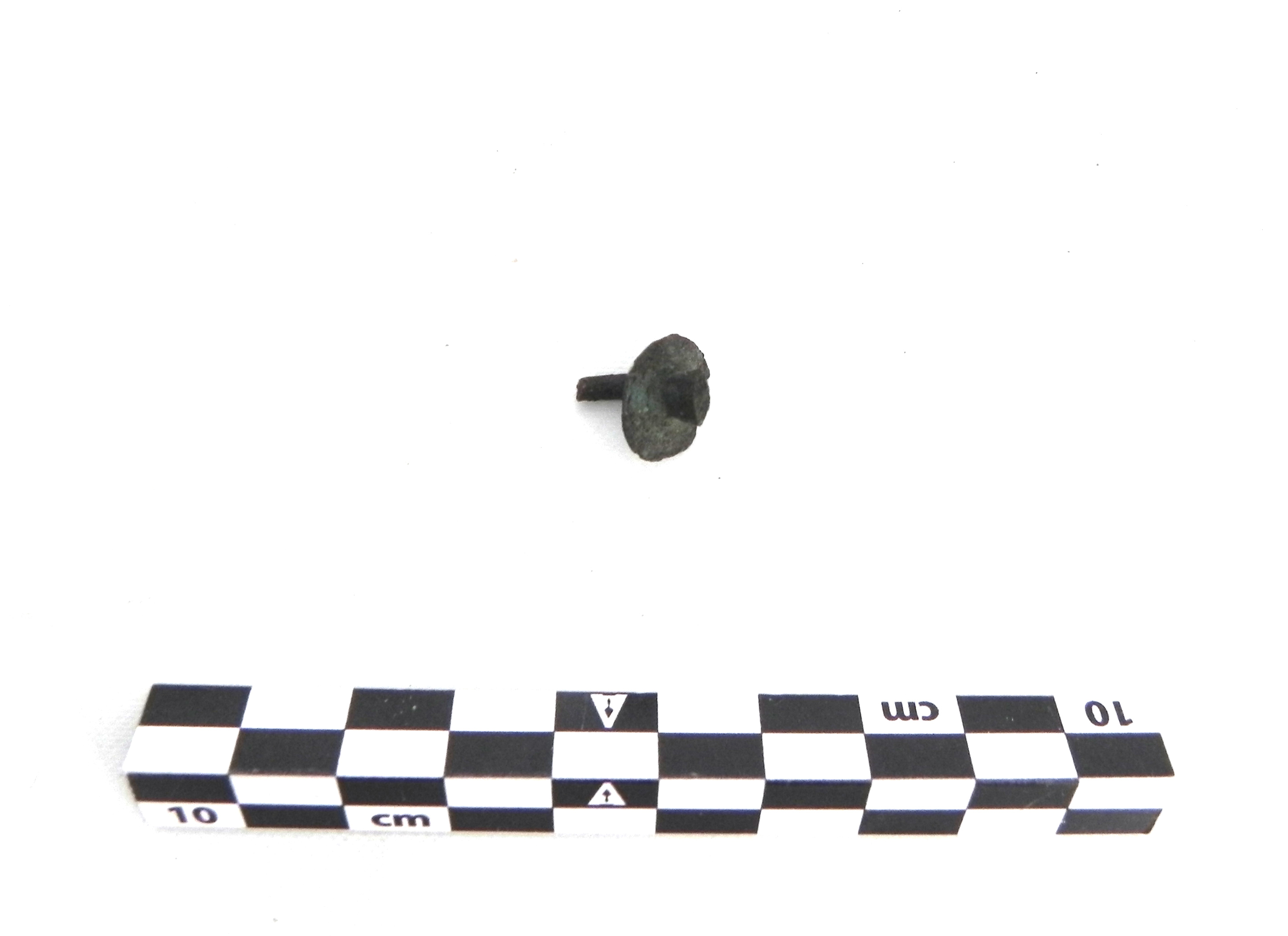 fibula - Cultura di Golasecca (PERIODIZZAZIONI/ PROTOSTORIA/ Età del Ferro/ Prima età del Ferro)