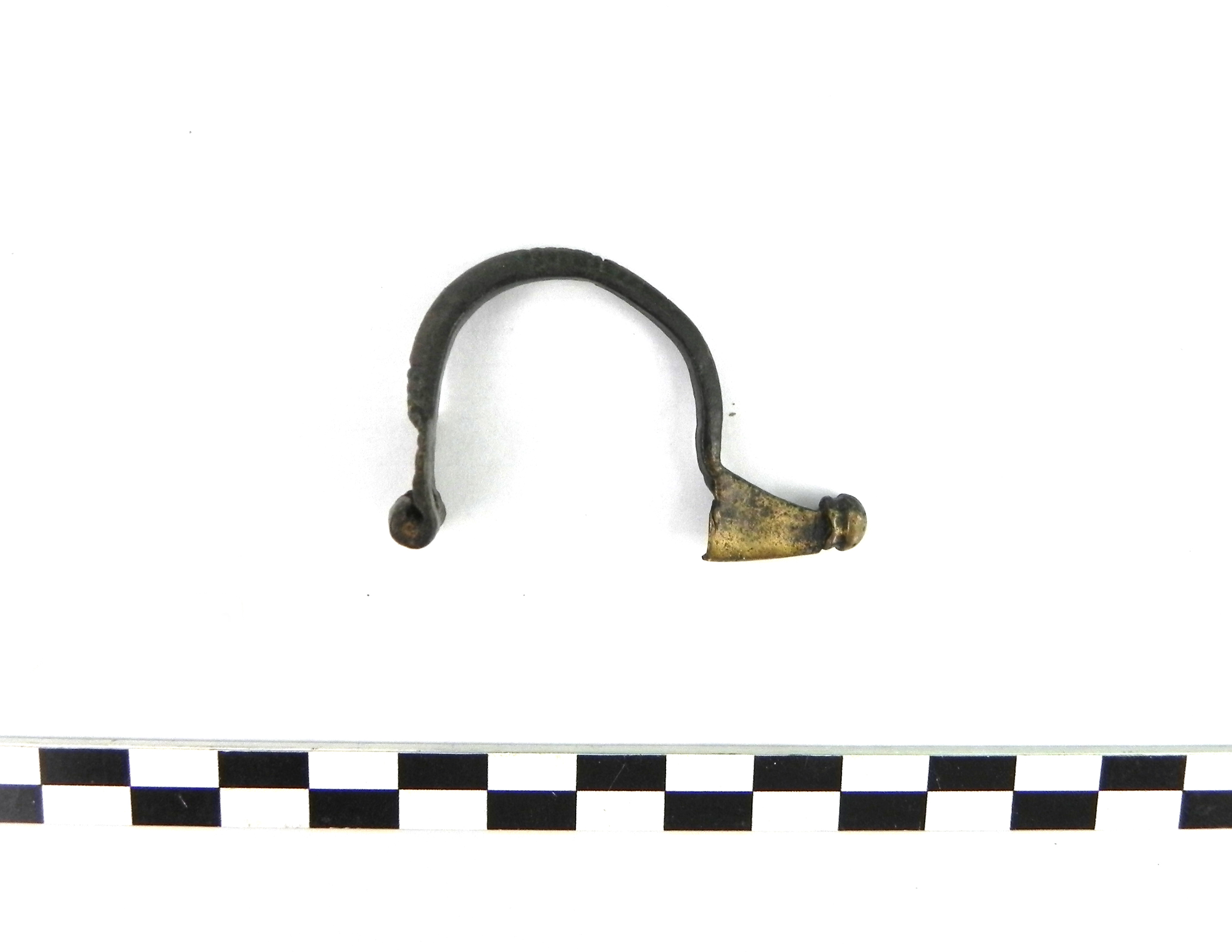fibula, Aucissa (PERIODIZZAZIONI/ STORIA/ Età antica/ Età romana)