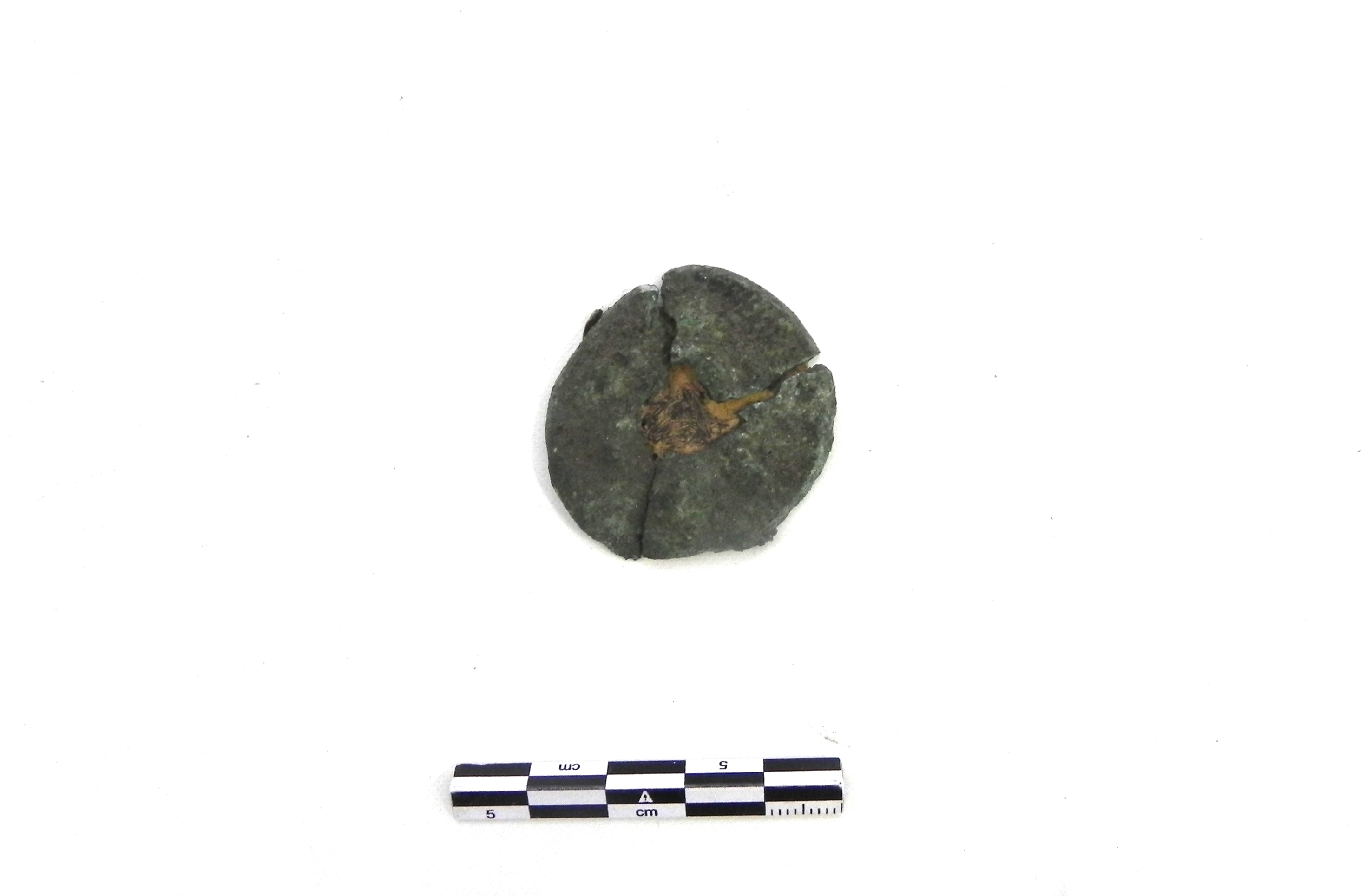 fermapieghe - Cultura di Golasecca (PERIODIZZAZIONI/ PROTOSTORIA/ Età del Ferro/ Prima età del Ferro)