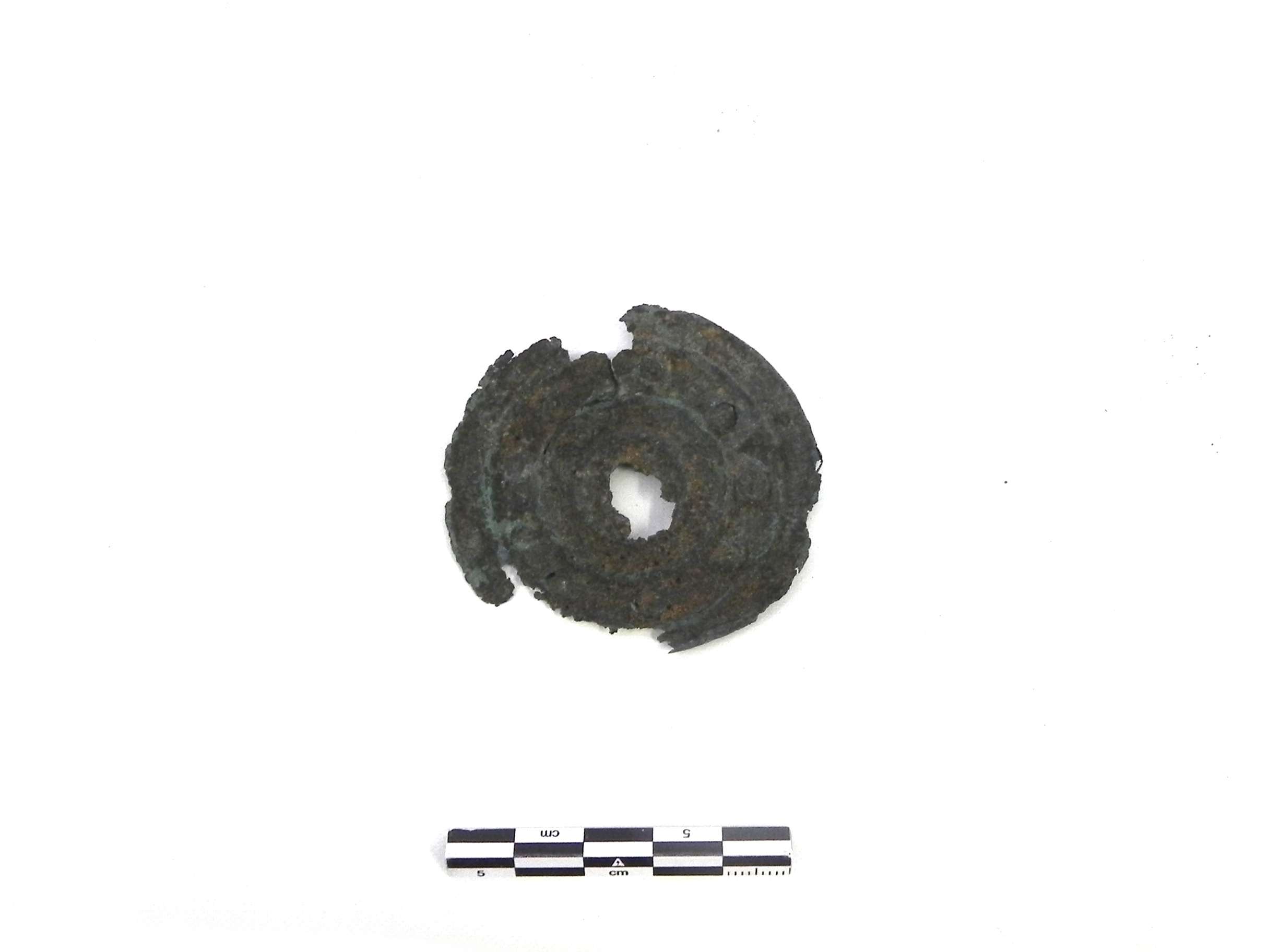 fermapieghe - Cultura di Golasecca (PERIODIZZAZIONI/ PROTOSTORIA/ Età del Ferro/ Prima età del Ferro)